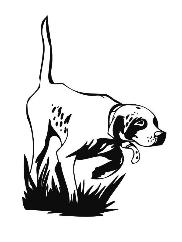 coloriage chien de chasse a l arret